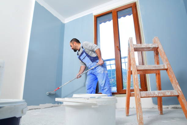 Mold Odor Removal Services