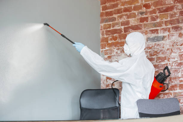 Trusted Buckeye, AZ Mold Removal Experts