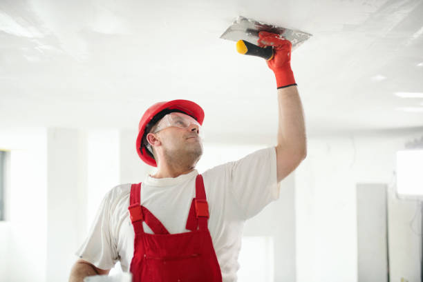  Buckeye, AZ Mold Removal Pros