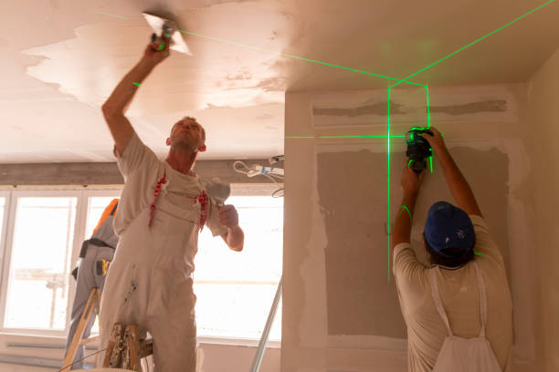 Best Commercial Mold Inspection  in Buckeye, AZ