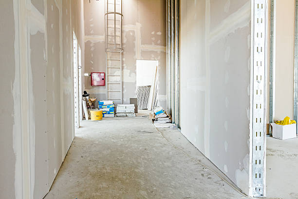 Reliable Buckeye, AZ Mold Removal Solutions