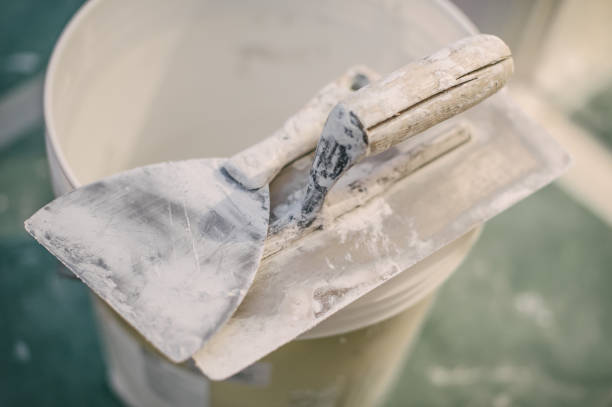 Best Mold Damage Restoration  in Buckeye, AZ