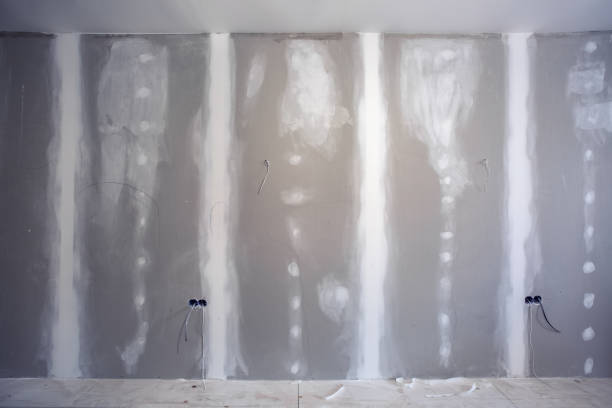 Best Black Mold Removal  in Buckeye, AZ